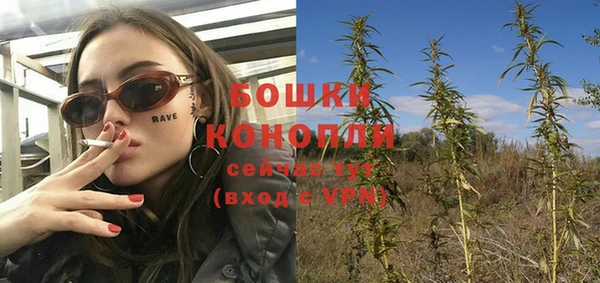 твердый Абаза
