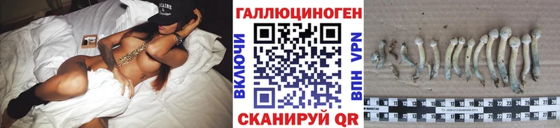 Псилоцибиновые грибы мухоморы  мега ONION  Энем  купить  
